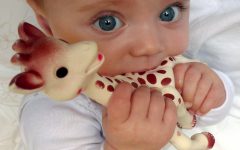 un-bebe-en-train-de-jouer-avec-sophie-la-girafe-image-d-illustration