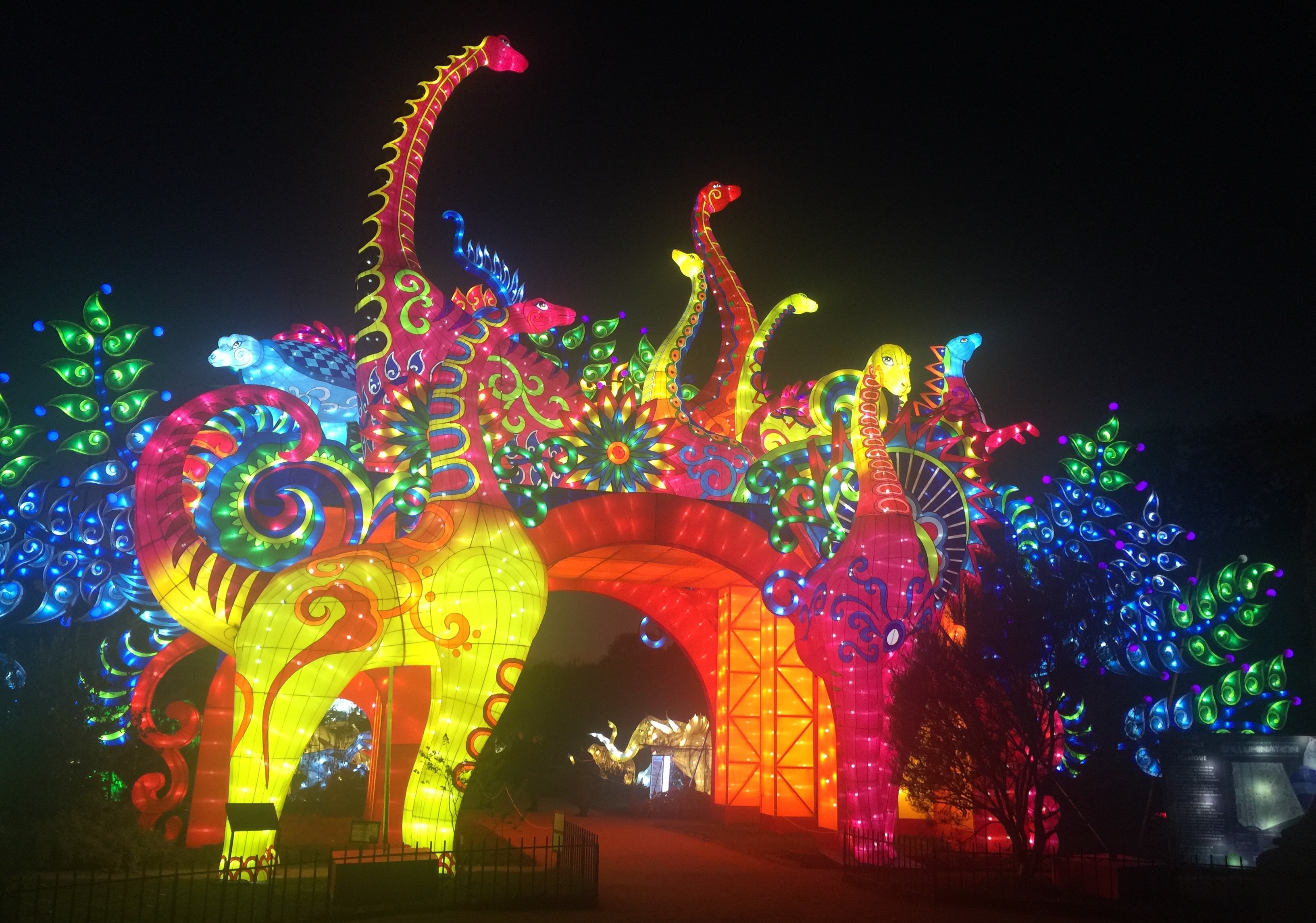 Publié le 7 janvier 2019 par Anne Vaneson-Bigorgne